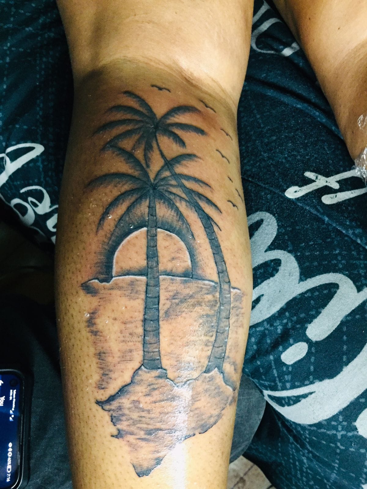 Palm Sunset