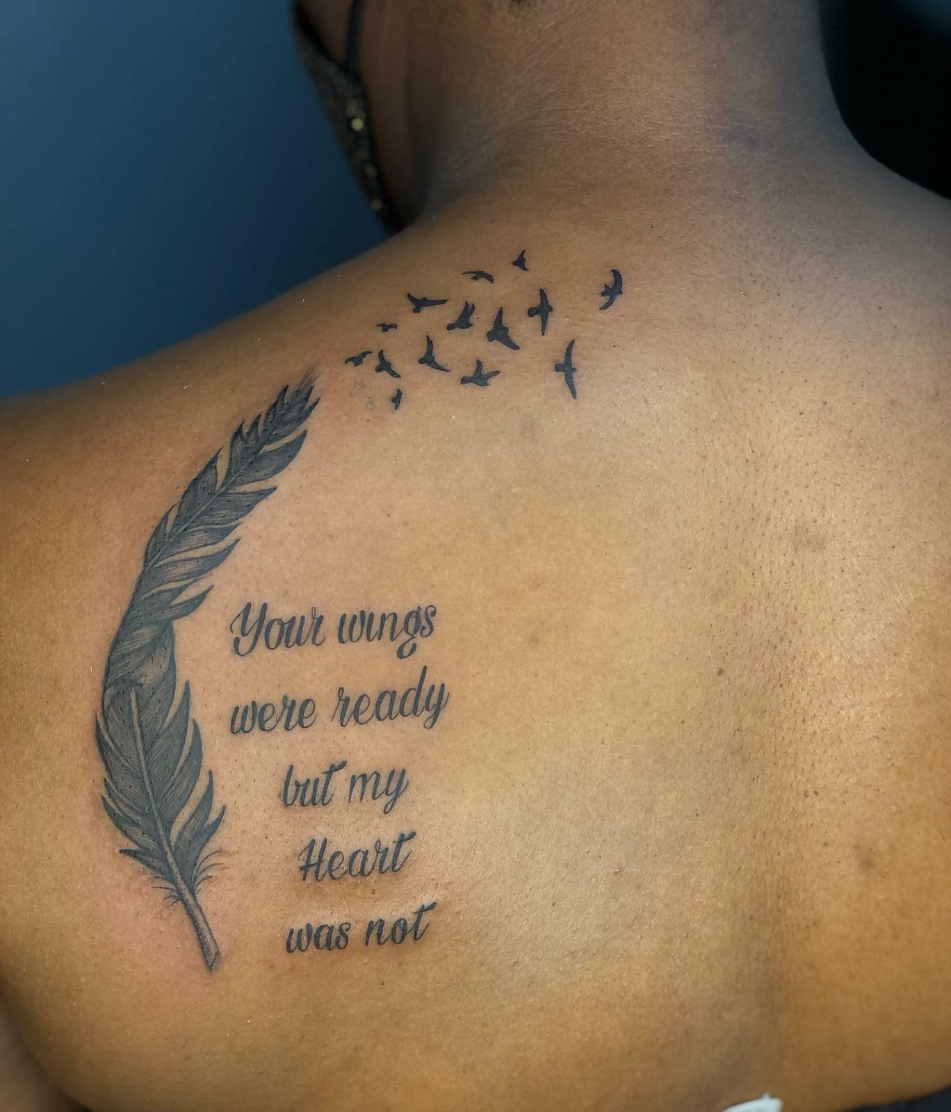 Feather & Birds